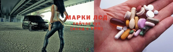 PSILOCYBIN Алзамай
