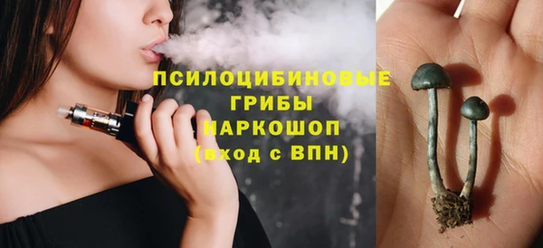 PSILOCYBIN Алзамай