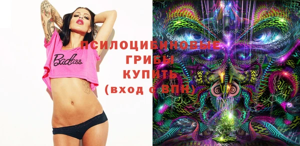 PSILOCYBIN Алзамай