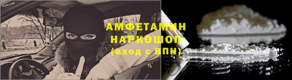 PSILOCYBIN Алзамай