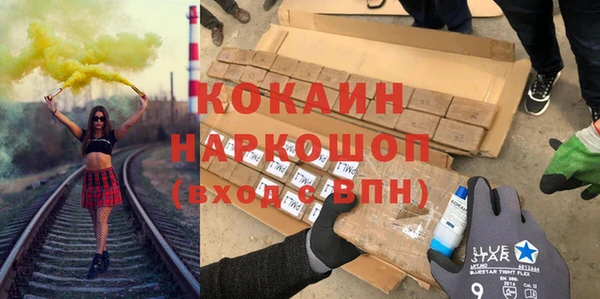 PSILOCYBIN Алзамай