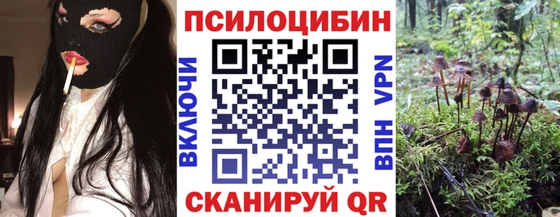 Галлюциногенные грибы GOLDEN TEACHER  Бахчисарай 