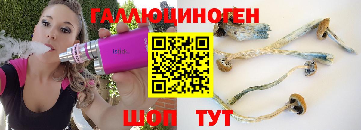 закладка  Галлюциногенные грибы Psilocybe  Вход с VPN  Бахчисарай 