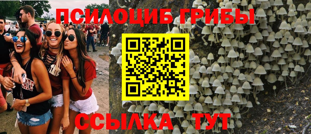 Галлюциногенные грибы Psilocybe Бахчисарай